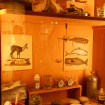 06_Muzeul farmaciei