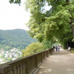 14_Gradina castelului
