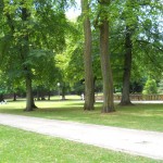 16_Gradina castelului