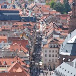 25_Strada principala vazuta din gradina