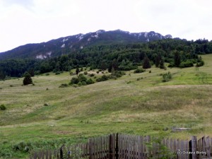 Piatra Mică Piatra Mică
