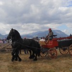 Frizienii cei frumoși