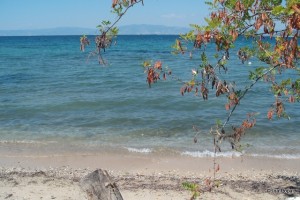 plaja in Thasos