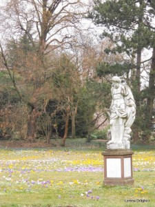 Gradina botanica