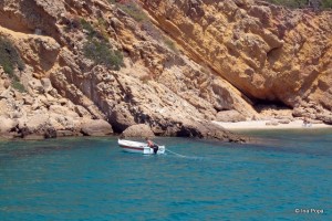 pauza de inot