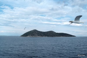 feribot, Thasos de pe feribot