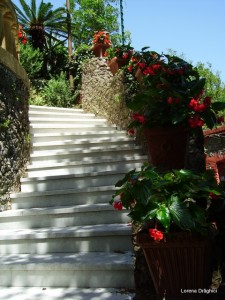 Portofino Scari