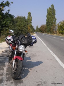 Rozica Rozica