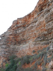 Stanci rosii