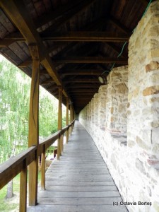 Mânăstirea Dragomirna-drumul de strajă Mânăstirea Dragomirna-drumul de strajă