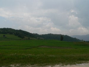 Verde de Jina