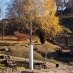 Veliko Tarnovo - un copac