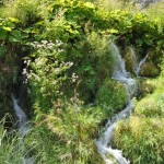 Plitvice Lakes, Croatia