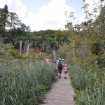 Plitvice Lakes, Croatia