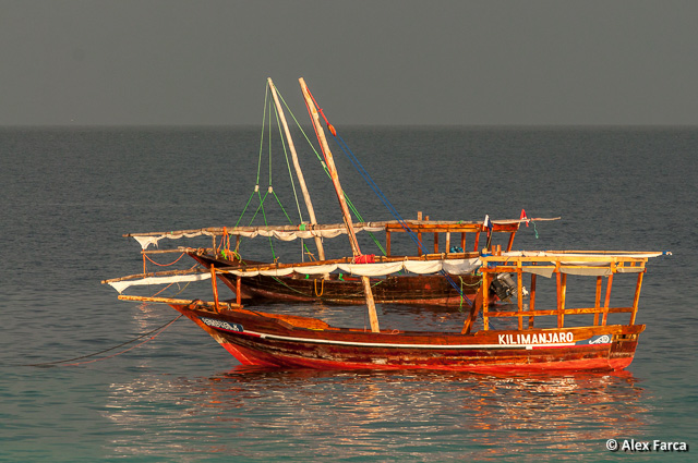 Barci traditionale in Zanzibar