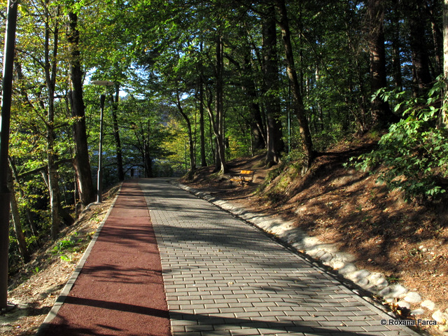 Sovata_9233