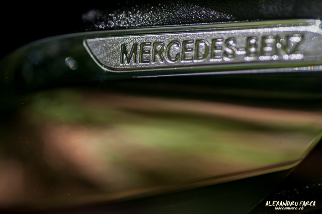 Mercedes_7821