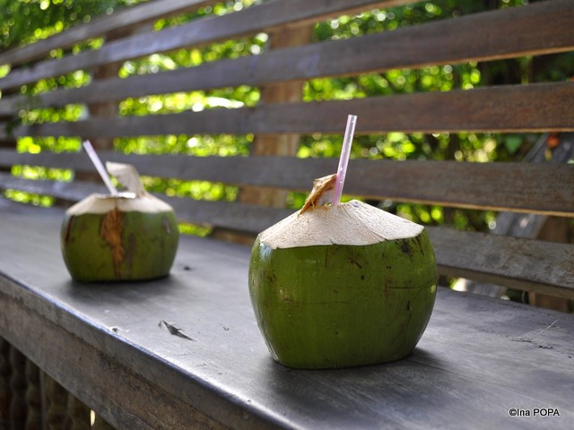 Nuca de cocos proaspata