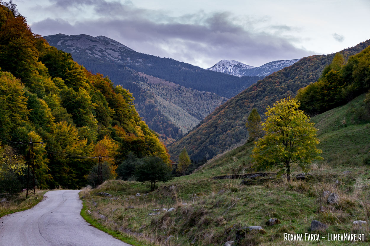 Drumul spre Râușor