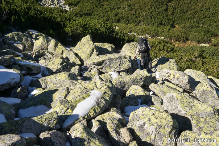 Spre lacul Ștevia, sub vârful Retezat