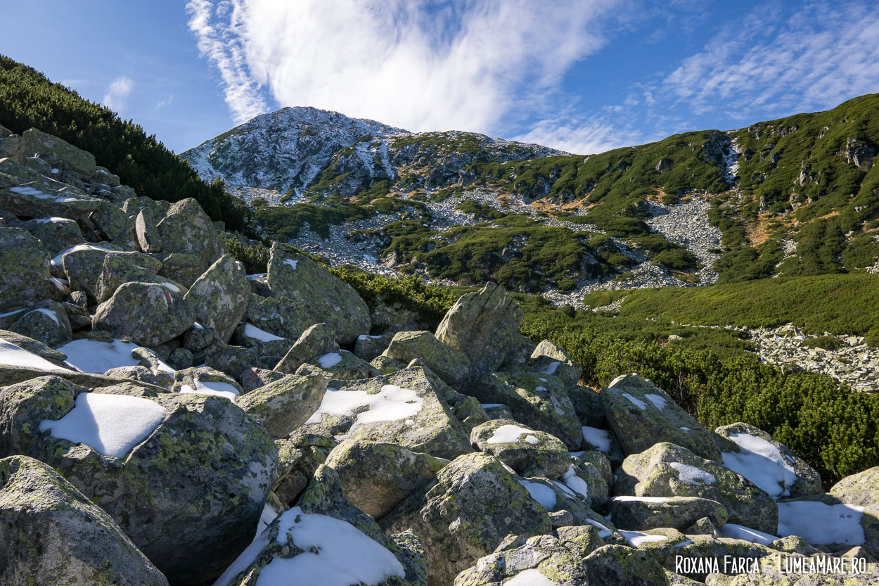 Retezat, urcând pe Valea Șteviei