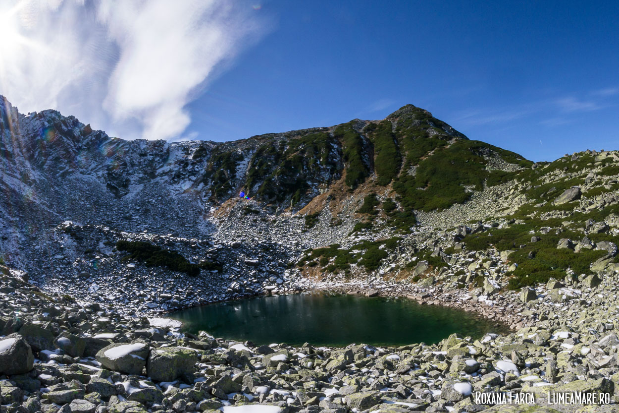 Lacul Ștevia, Retezat