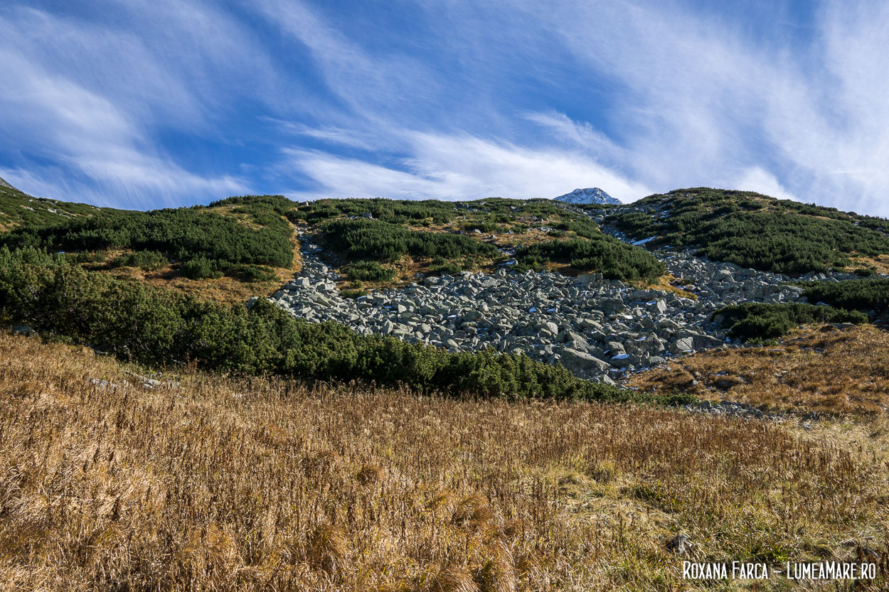 Valea Șteviei Retezat