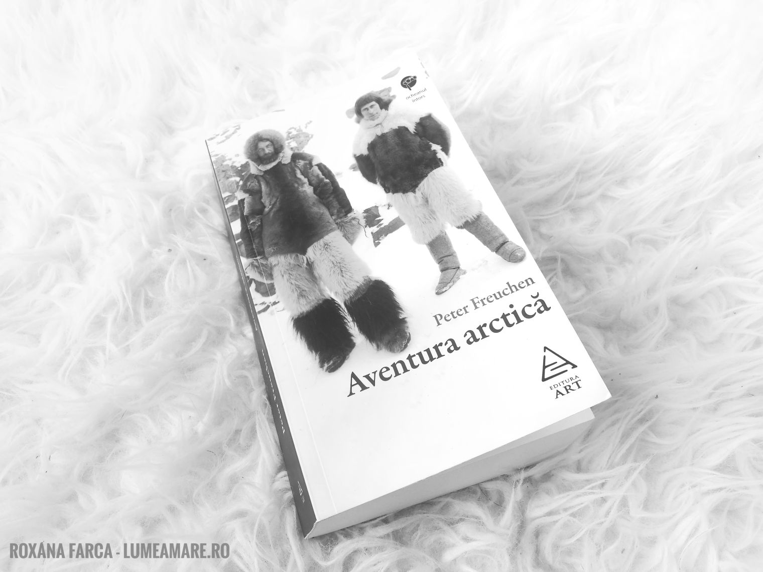 Aventura arctică